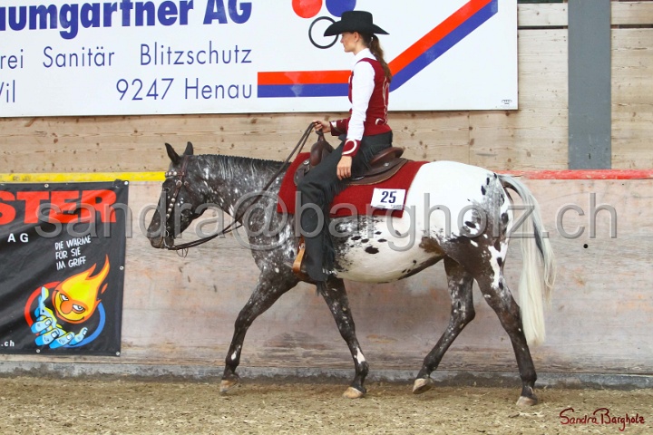 31-ApHC OWP_002.jpg